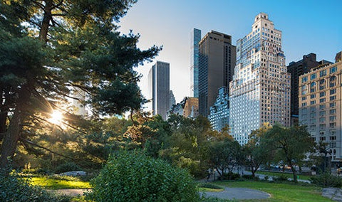 THE RITZ-CARLTON NEW YORK, CENTRAL PARK SPA